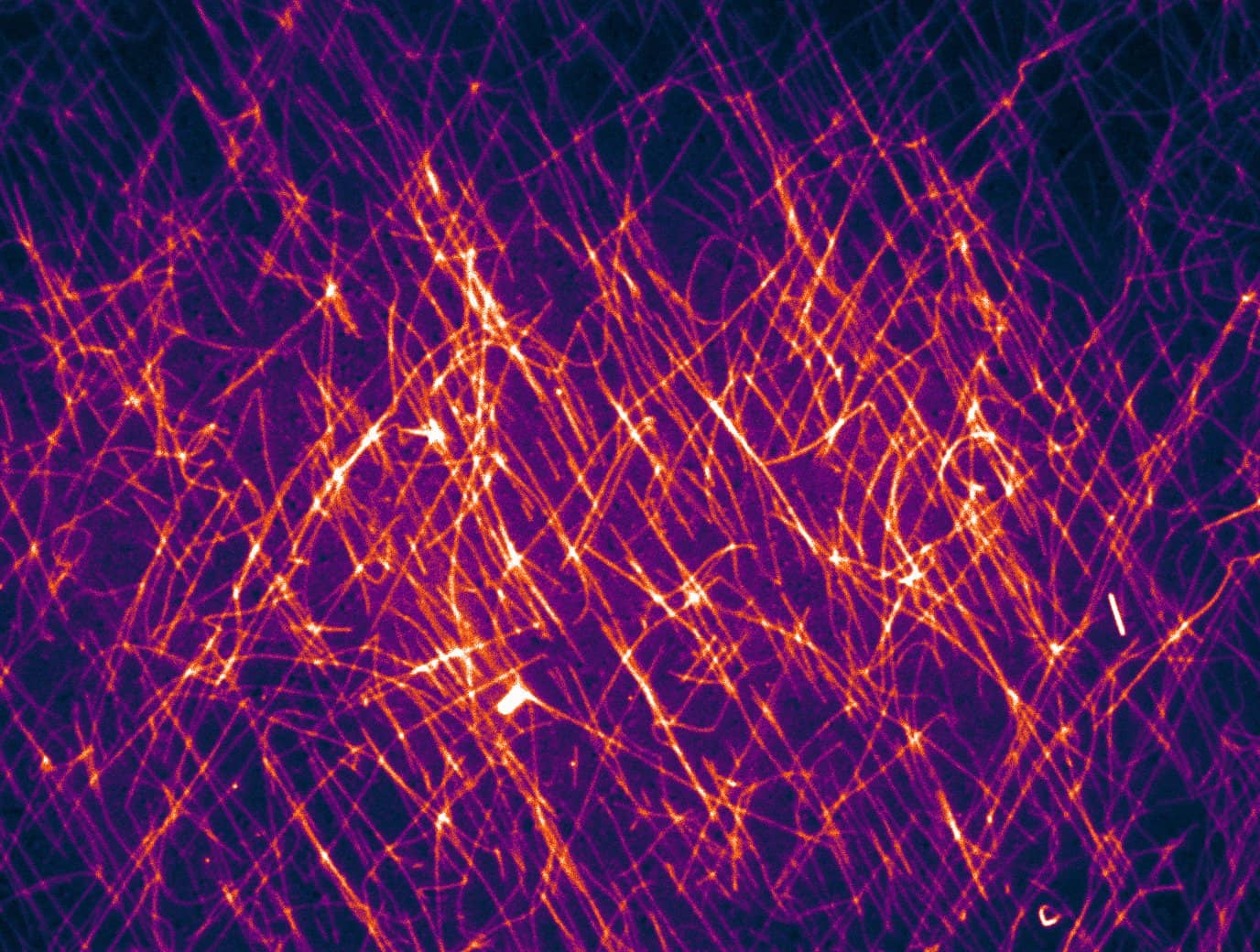 DNA Nanotubes: Stiffness & Supertwist